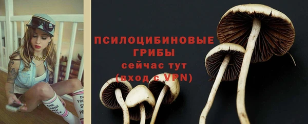 прущий лед Абаза