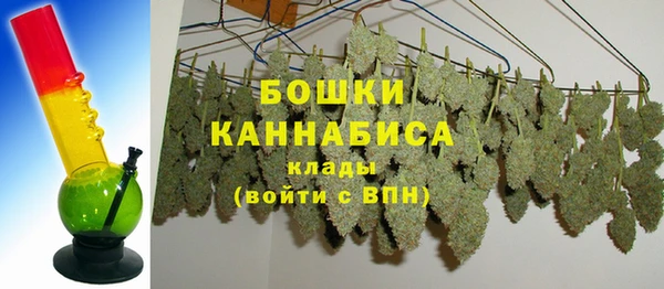 ГАЛЛЮЦИНОГЕННЫЕ ГРИБЫ Абдулино