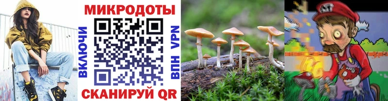 Галлюциногенные грибы ЛСД  купить наркоту  Невельск 